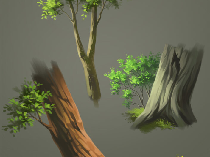 tree bark